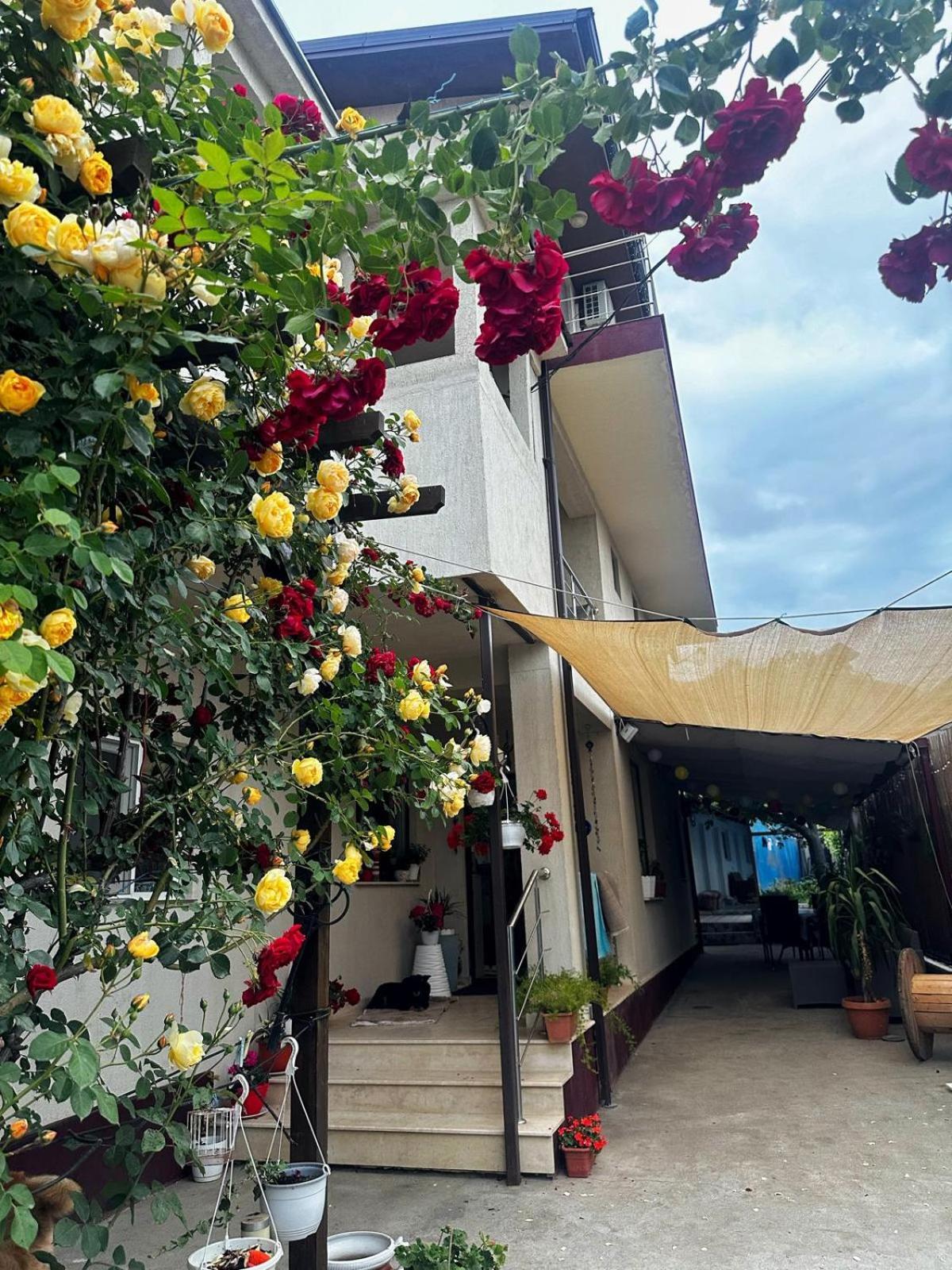 Casa Kmy Hotel Tuzla Eksteriør billede